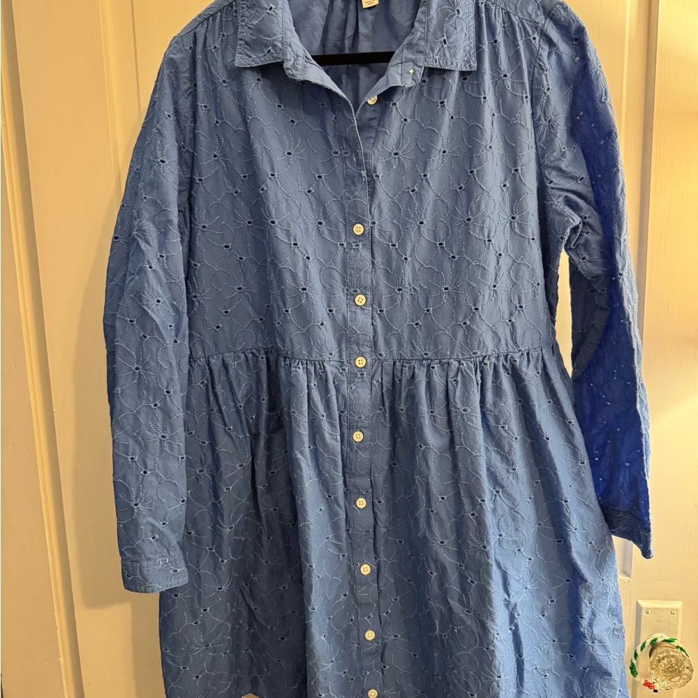 J. Crew Factory Blue Long Sleeve Dress